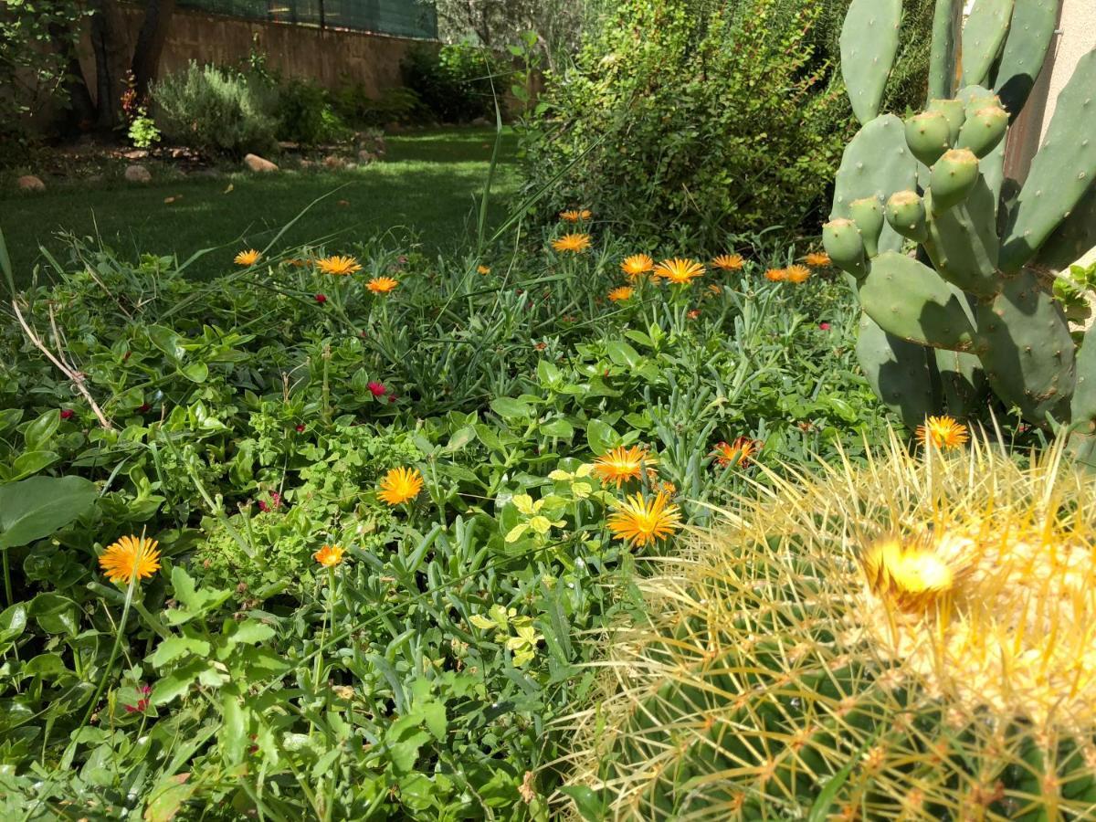 مورافيرا B&B I Fenicotteri المظهر الخارجي الصورة